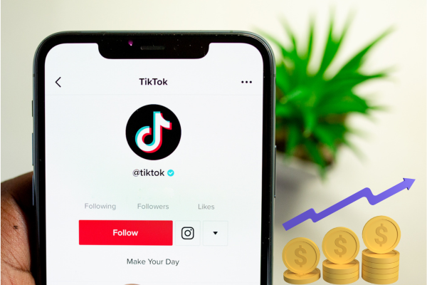 Como ganhar dinheiro com o tiktok - tela de perfil do tiktok